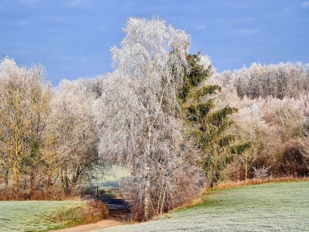 Wanderparkplatz Hölzchen
